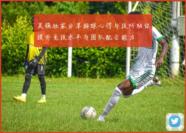 吴强独家分享排球心得与技巧助你提升竞技水平与团队配合能力