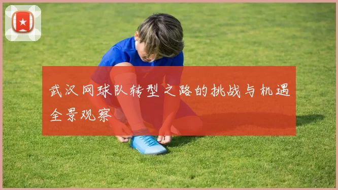 武汉网球队转型之路的挑战与机遇全景观察