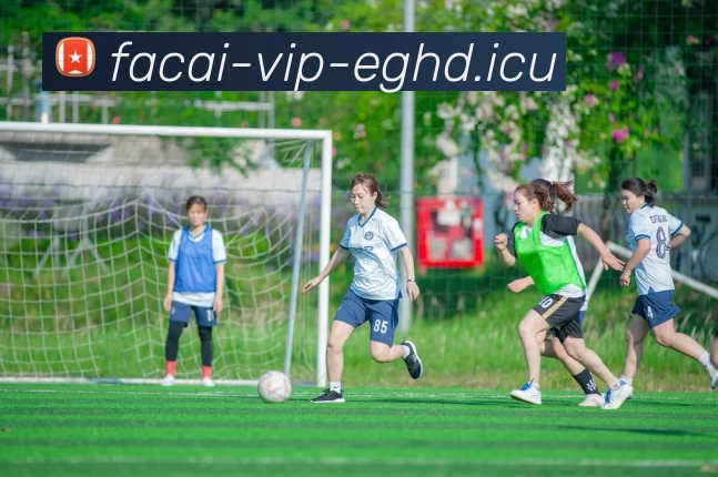 开云体育品牌故事