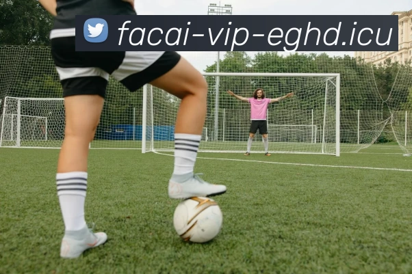 开云体育服务体系